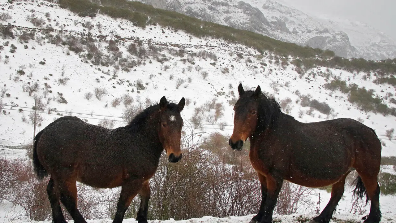 Aemet alerta de un nuevo temporal de nieve que afectará esencialmente a las zonas de montaña.