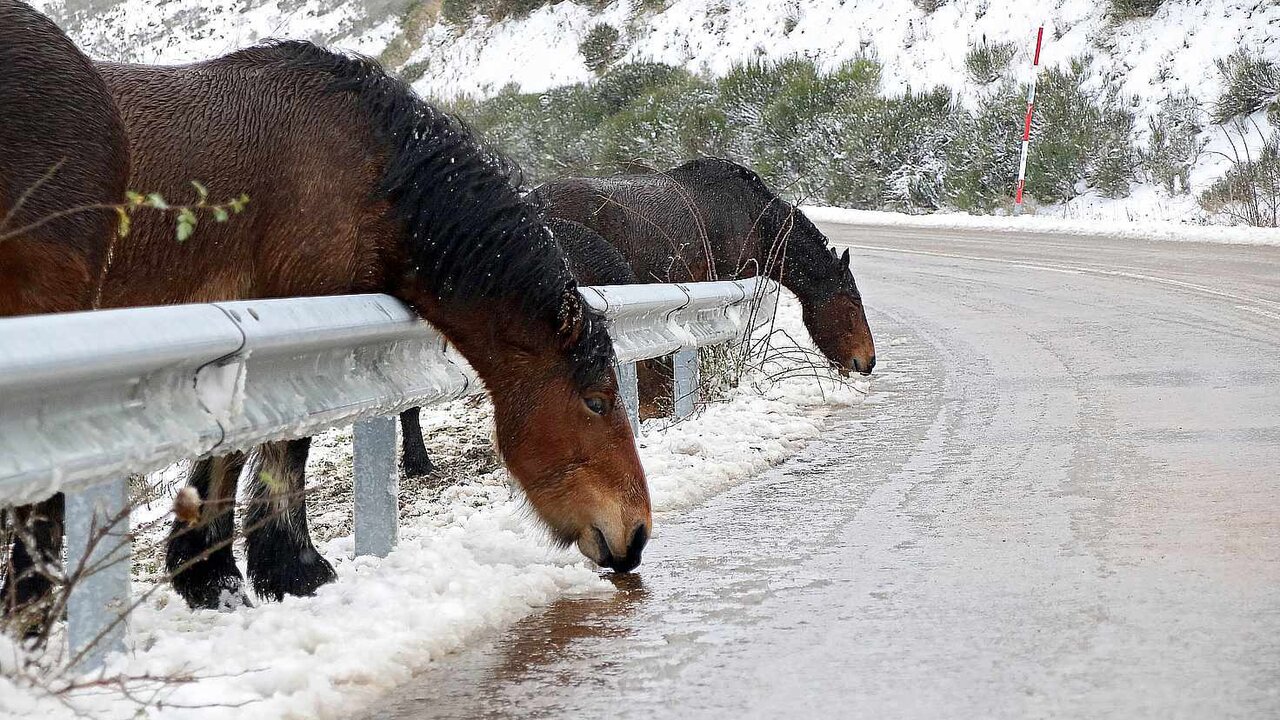 La nieve cubre la montaña de León en el puerto de Pajares y la comarca de los Argüellos. Foto: Peio García