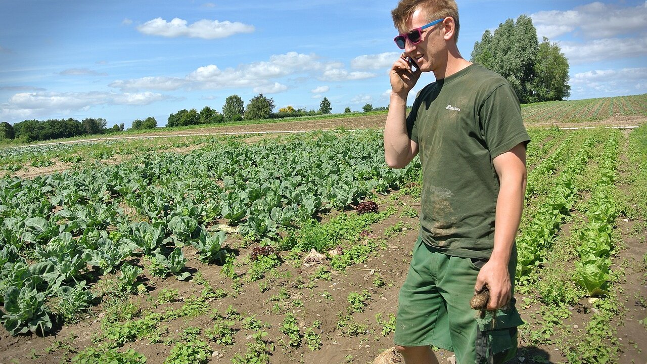 El Área de Desarrollo Rural de la Diputación de León convoca la línea de ayudas destinada a que los agricultores de la provincia puedan realizar, a lo largo de 2025, análisis de sus tierras.