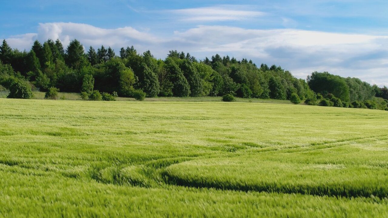 El sector agrario leonés pierde cada año explotaciones