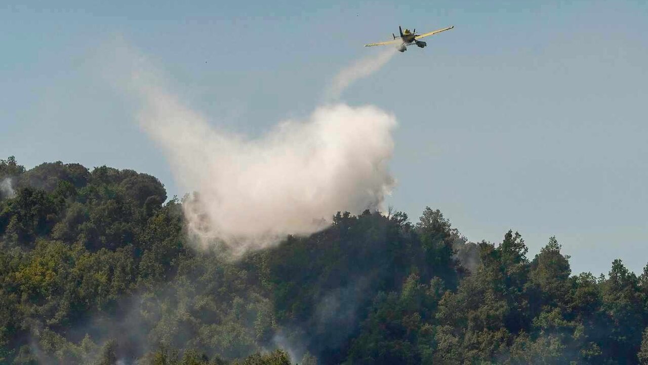 Incendio entre las localidades de Tremor de Abajo y Almagarinos.