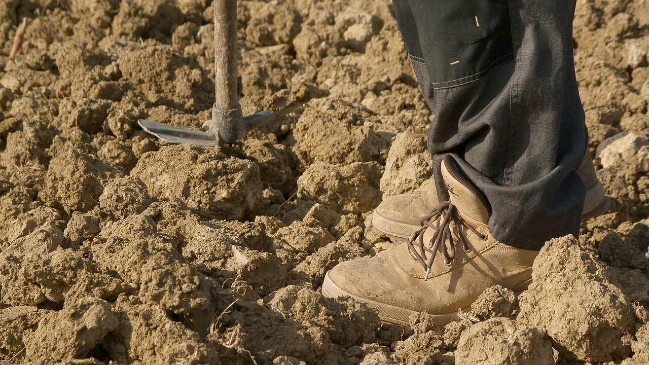 La Unión de Campesinos de Castilla y León (UCCL) denunció que los autónomos agrarios podrían ver reducidas sus prestaciones entre un 32 y un 44 por ciento.