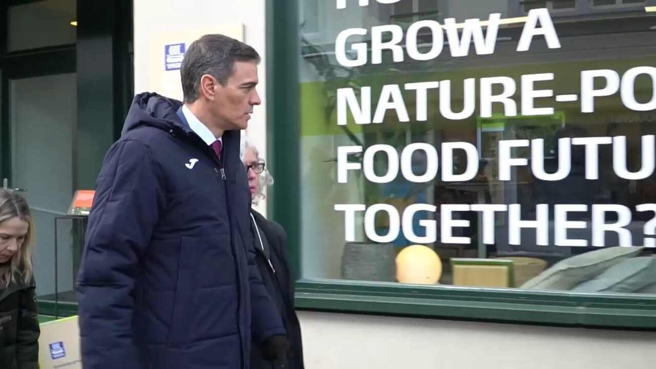 Pedro Sánchez, durante su estancia en Davos.