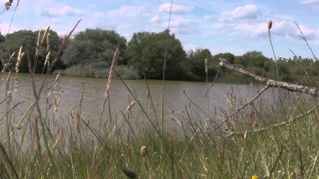 La CHD activa el aviso rojo por la crecida del río Cea a su paso por Villaverde de Arcayos (León).