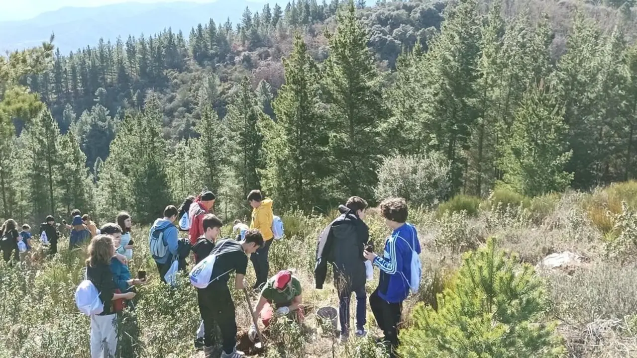 Continúa la reforestación del Monte Pajariel con la ayuda del I.E.S. Gil y Carrasco.