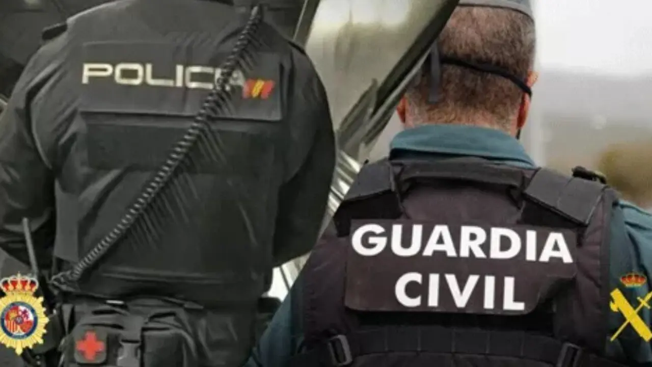 Guardias civiles y policías nacionales reclaman "el fin de las discriminaciones salariales y laborales"