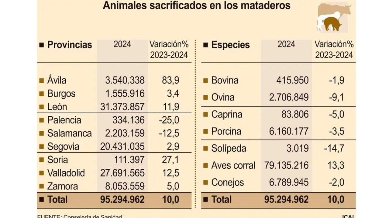 Animales sacrificados en los mataderos de Castilla y León en 2024.