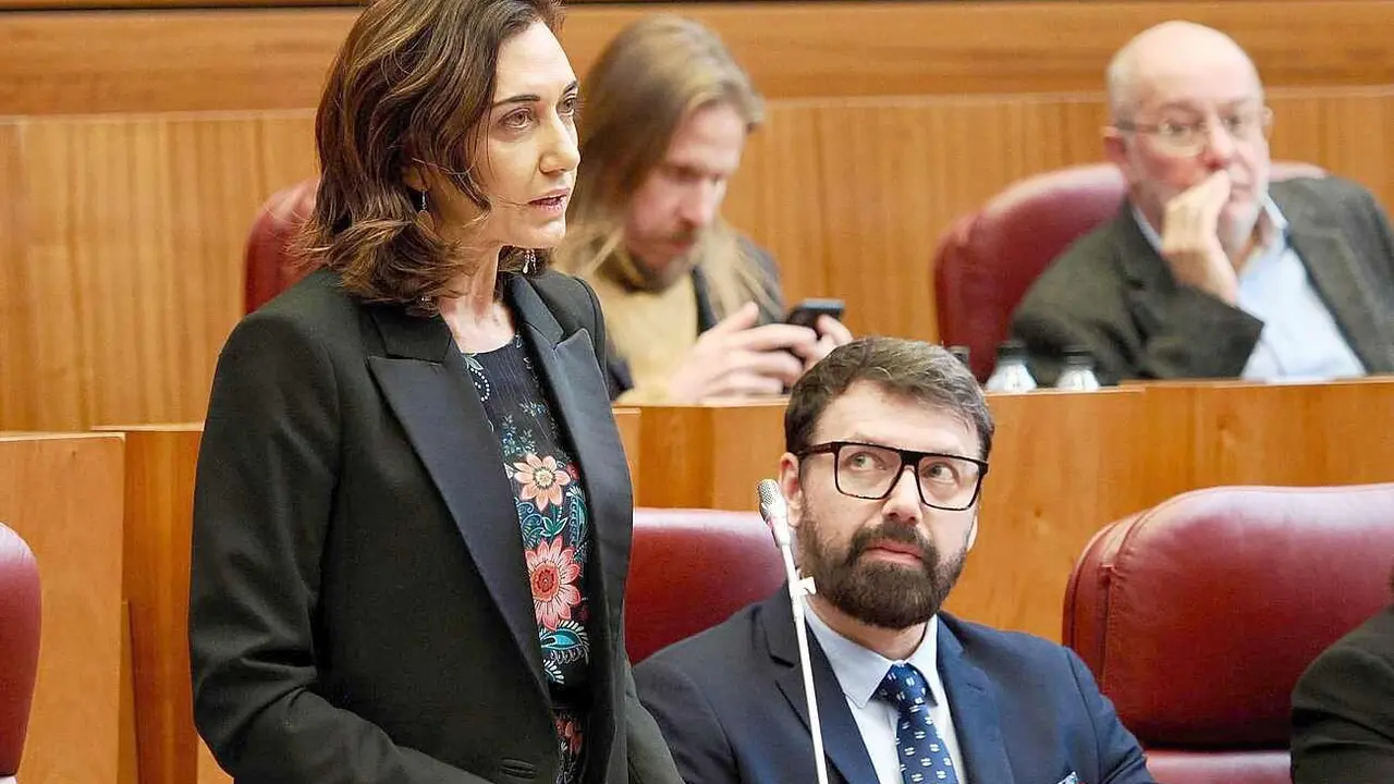 Alicia Gallego, durante su intervención en el pleno de las Cortes.