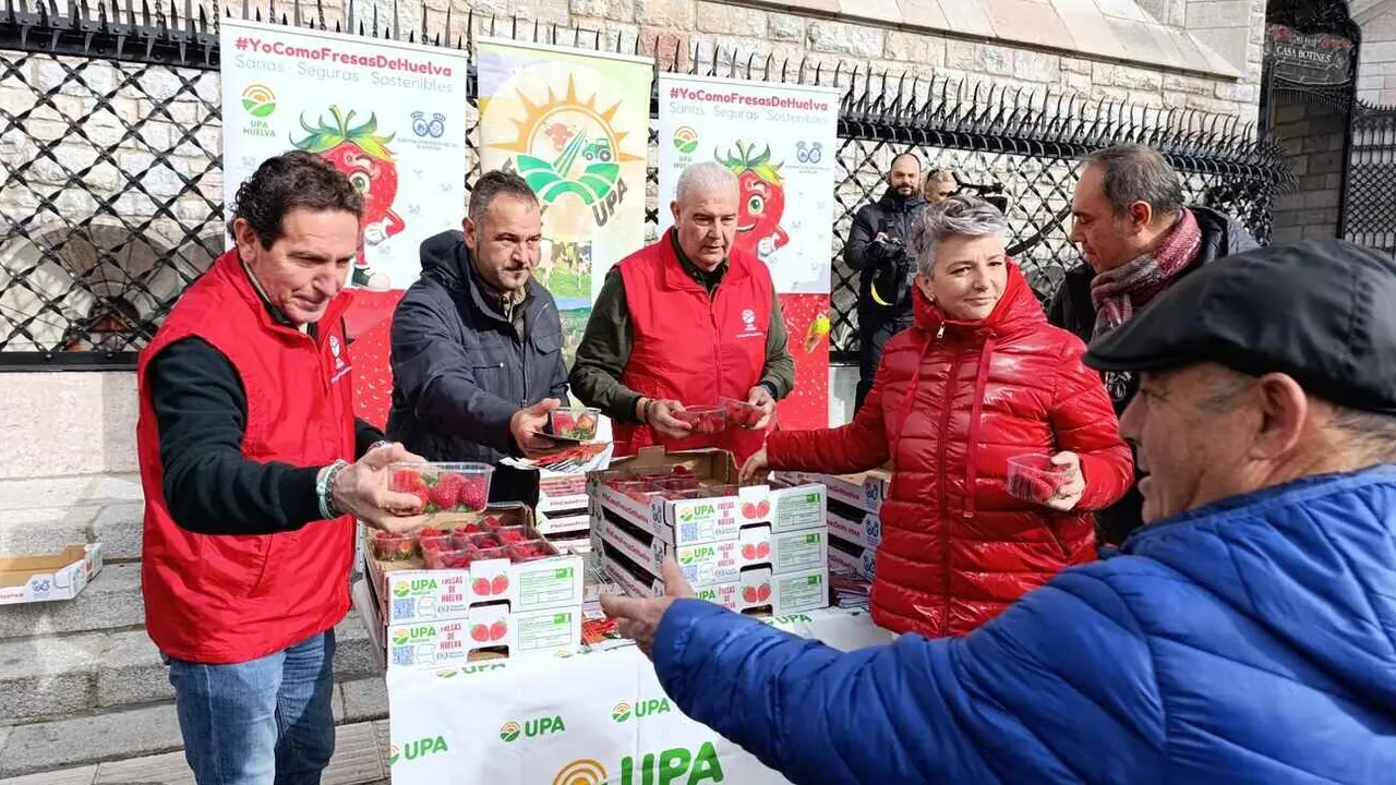 Cientos de personas se dan cita en el centro de León, en una cola desde Botines hasta alcanzar la Calle Ancha, para recoger una suculenta y reivindicativa caja de fresas.