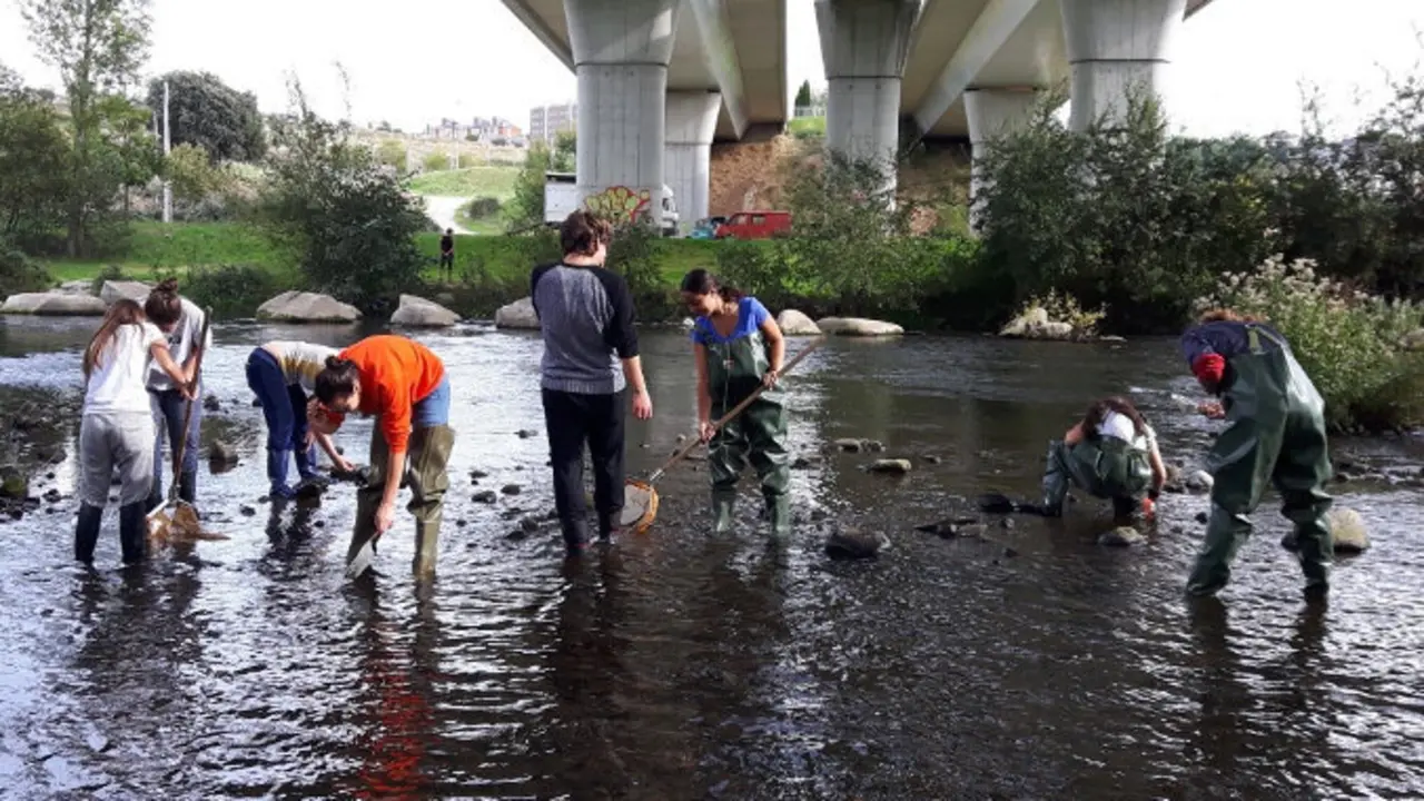 Iniciativa educativa ‘De la Naturaleza a la Tecnología: La Ingeniería Forestal en Acción’, organizada por la Escuela de Ingeniería Agraria y Forestal del campus de Ponferrada de la Universidad de León, a través del grupo de innovación docente Biersoft.