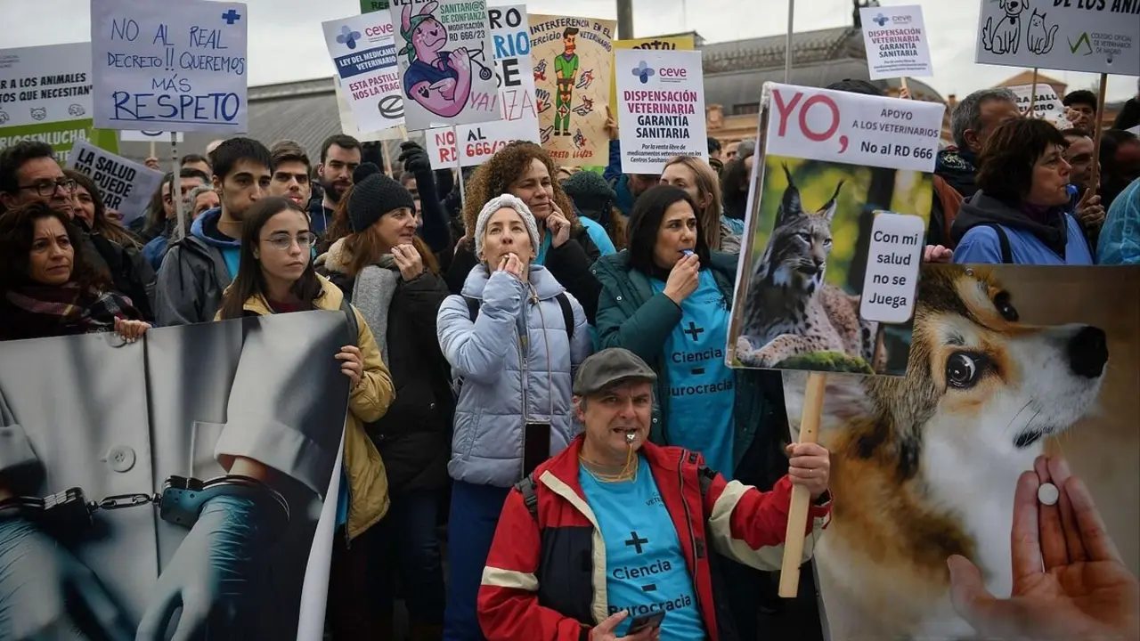 Los veterinarios de León se concentrarán el miércoles contra el nuevo decreto que regula la dispensación y uso de medicamentos.