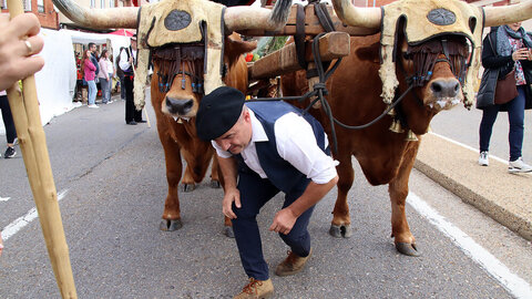 Miles de leoneses se citan con la tradición para homenajear a San Froilán en La Virgen del Camino.