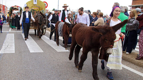 Miles de leoneses se citan con la tradición para homenajear a San Froilán en La Virgen del Camino.