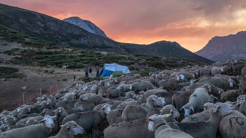 El fotógrafo burgalés Jorge Contreras Soto, autor del libro 'Los guardianes del Puerto de Pandetrave', en León.