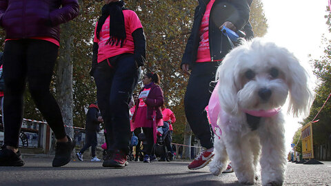 X Carrera de la Mujer Almon-Drasanvi contra el c?ncer de mama en Le?n