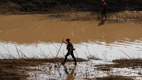 El V batallón de la UME con sede en León, rastrea la Albufera en la localidad de Masanasa en busca de desaparecidos. Fotos: Eduardo Margareto