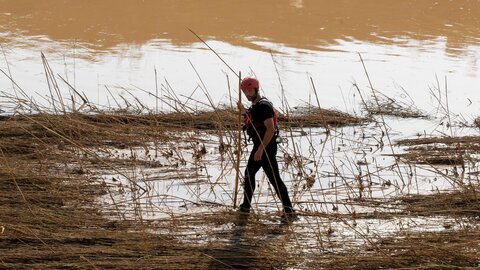 El V batallón de la UME con sede en León, rastrea la Albufera en la localidad de Masanasa en busca de desaparecidos. Fotos: Eduardo Margareto