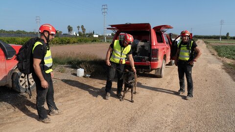 El V batallón de la UME con sede en León, rastrea la Albufera en la localidad de Masanasa en busca de desaparecidos. Fotos: Eduardo Margareto