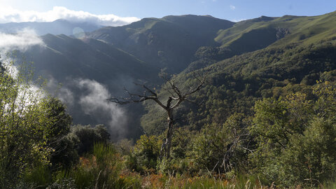 Visita a los canales romanos en la Tebaida berciana en los que se pretende crear una ruta BTT desde Peñalba de Santiago hasta Las Médulas. Fotos: César Sánchez