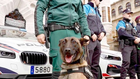 El Plan de Comercio Seguro para esta navidad en Castilla y León desplegará 250 efectivos en las principales zonas comerciales de la ciudad de León, a los que se sumará la Policía Local. Foto: Campillo