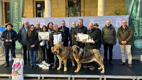 El Palacio de los Guzmanes ha acogido este sábado la entrega de premios del Campeonato de León para Mastín, organizado por la Sociedad Canina de León, en colaboración con la Diputación de León.