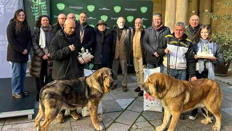 El Palacio de los Guzmanes ha acogido este sábado la entrega de premios del Campeonato de León para Mastín, organizado por la Sociedad Canina de León, en colaboración con la Diputación de León.