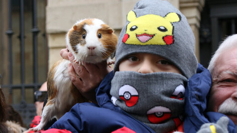 Los leoneses y sus mascotas se encomiendan a San Antón con la tradicional bendición en San Marcelo. El santo preside la eucaristía tras dar tres vueltas a la iglesia a hombros de la Cofradía del Santísimo Cristo de la Expiración y del Silencio. Fotos: Peio García