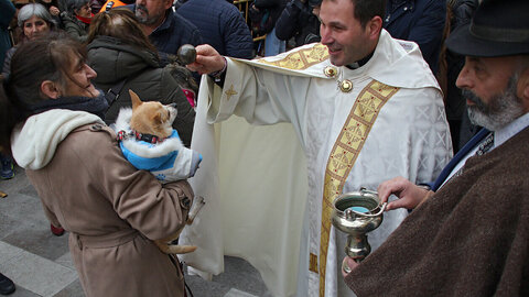 Los leoneses y sus mascotas se encomiendan a San Antón con la tradicional bendición en San Marcelo. El santo preside la eucaristía tras dar tres vueltas a la iglesia a hombros de la Cofradía del Santísimo Cristo de la Expiración y del Silencio. Fotos: Peio García