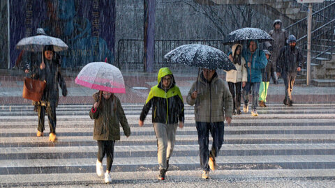 Una intensa nevada sobre León condiciona y el tráfico y cubre la capital desde la mediatarde de este domingo. La intensidad de la tormenta ha llevado a que el Ayuntamiento de León active el plan de nevadas.