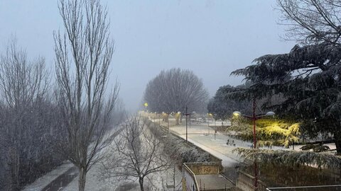 Una intensa nevada sobre León condiciona y el tráfico y cubre la capital desde la mediatarde de este domingo. La intensidad de la tormenta ha llevado a que el Ayuntamiento de León active el plan de nevadas.