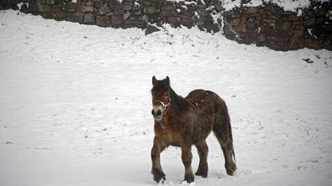 La anunciada borrasca Garoé se ha dejado sentir en las últimas horas en la provincia de León así como en la capital y el área metropolitana, trayendo consigo la primera nevada del año. Fotos: Peio García