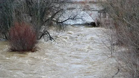 Crecida de los ríos Torío y Bernesga a su paso por León. Fotos: Campillo.