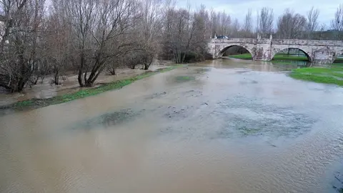 Crecida de los ríos Torío y Bernesga a su paso por León. Fotos: Campillo.