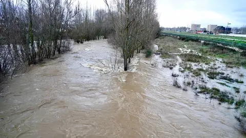 Crecida de los ríos Torío y Bernesga a su paso por León. Fotos: Campillo.