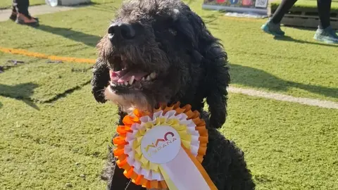 Andrea Antón, del Leonidogs Agility Club, primera española clasificada para el mundial WAO.