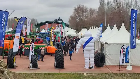 Nadie se ha querido perder este jueves la mirada al mundo desde Valencia de Don Juan. Como cada tercer jueves del mes de febrero Valencia de Don Juan ha vuelto a abrir de par en par las ventanas de su escaparate en la tradicional Feria de Febrero.