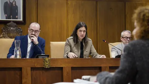 Pleno ordinario del Ayuntamiento de Ponferrada. Foto: César Sánchez.