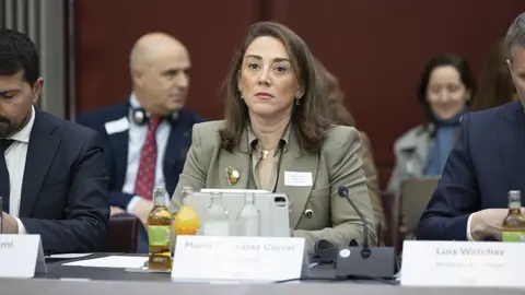 La consejera de Agricultura, Ganadería y Desarrollo Rural, María González Corral, en la reunión Agriregions en Bruselas.