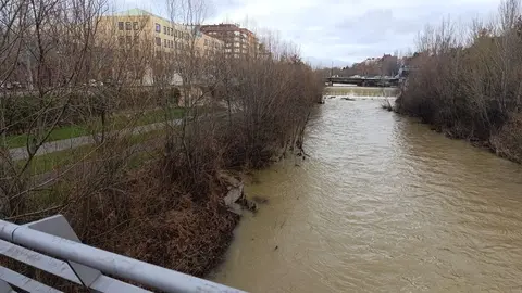 Río Bernesga a su paso por León.