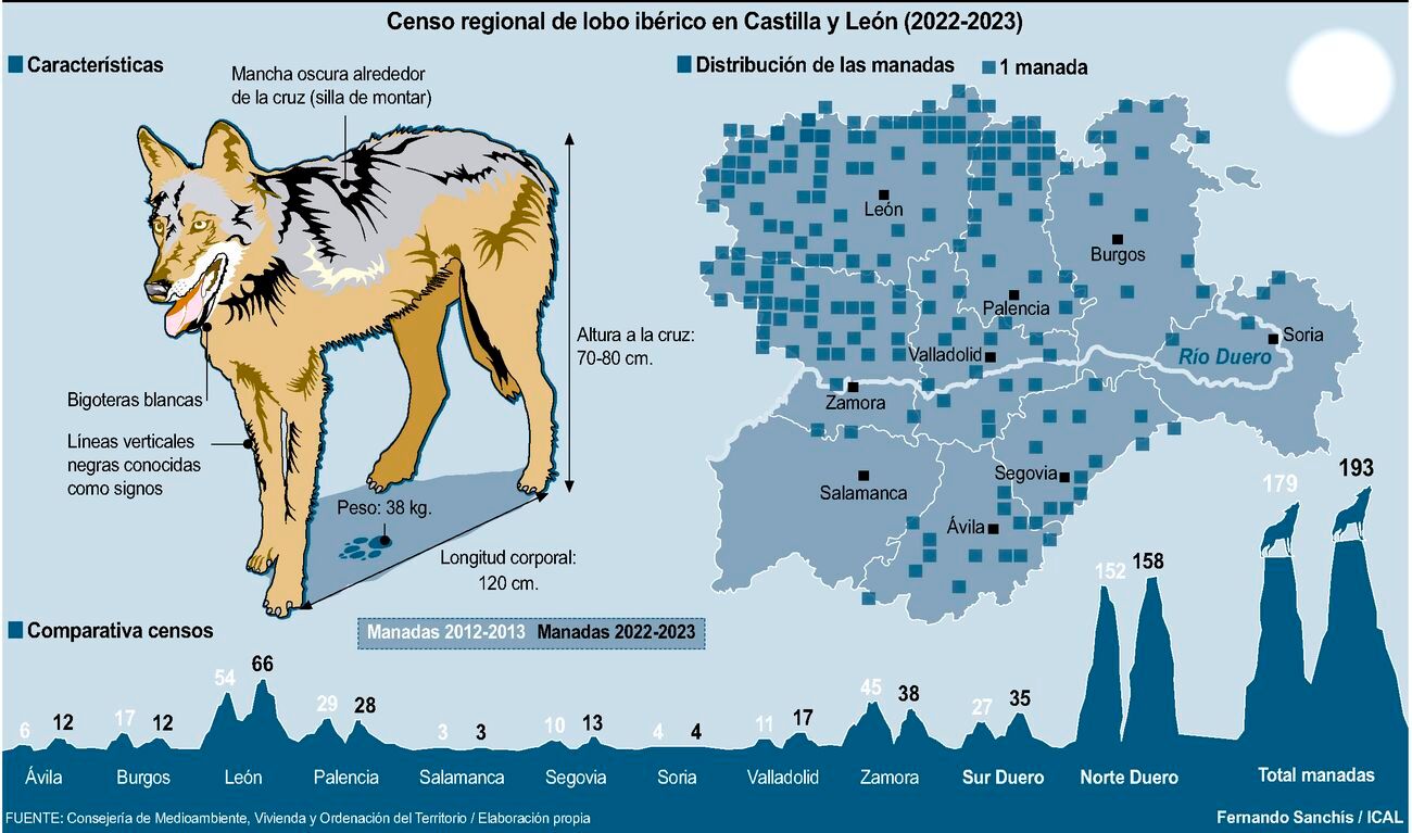 Censo regional de lobo ibérico, cuyo epicentro se encuentra en la provincia de León.