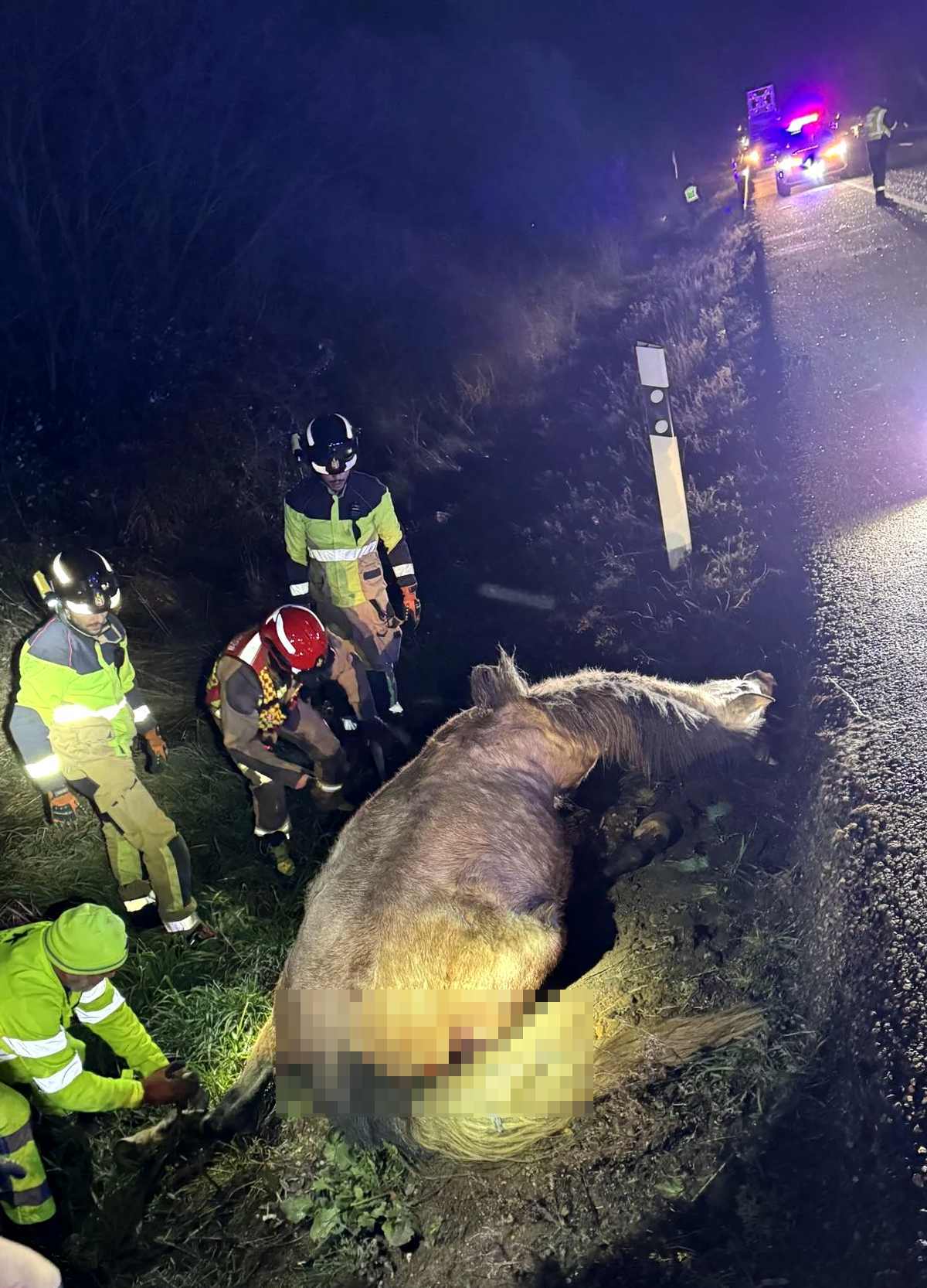 Imagen del vehículo accidentado tras impactar contra un caballo. Foto: Bomberos Diputación